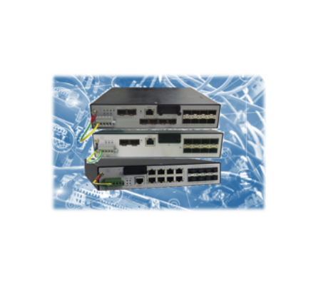 Carrier Ethernet Switch